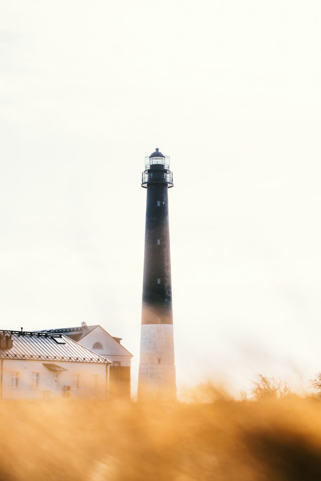 https://p3.img.cctvpic.com/photoworkspace/contentimg/2025/09/06/2025090609253635953.jpg